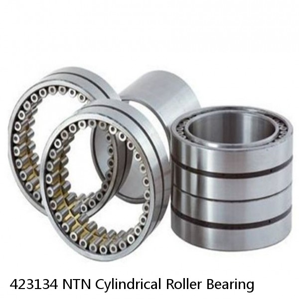 423134 NTN Cylindrical Roller Bearing