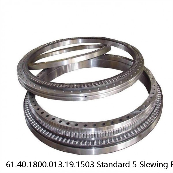 61.40.1800.013.19.1503 Standard 5 Slewing Ring Bearings