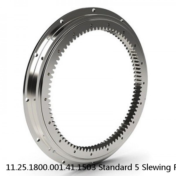 11.25.1800.001.41.1503 Standard 5 Slewing Ring Bearings