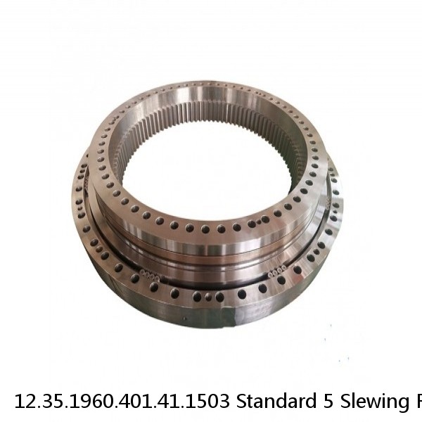 12.35.1960.401.41.1503 Standard 5 Slewing Ring Bearings