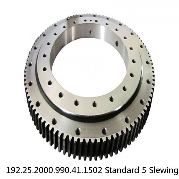 192.25.2000.990.41.1502 Standard 5 Slewing Ring Bearings