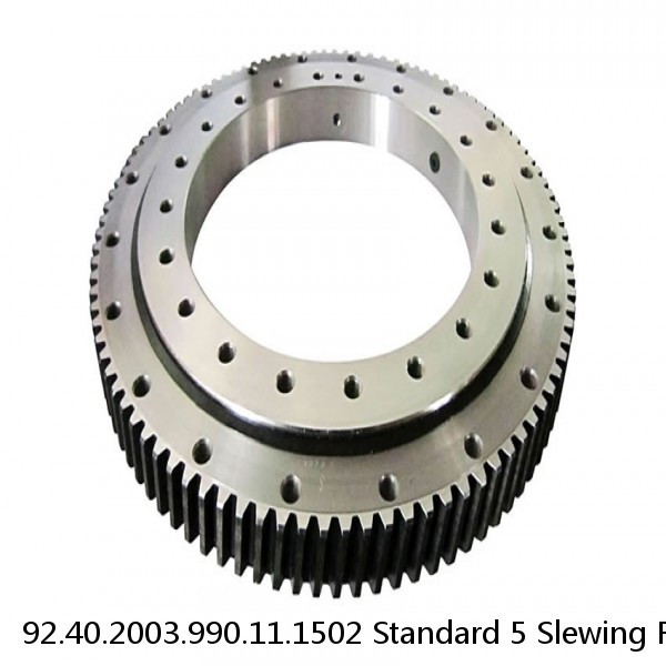 92.40.2003.990.11.1502 Standard 5 Slewing Ring Bearings