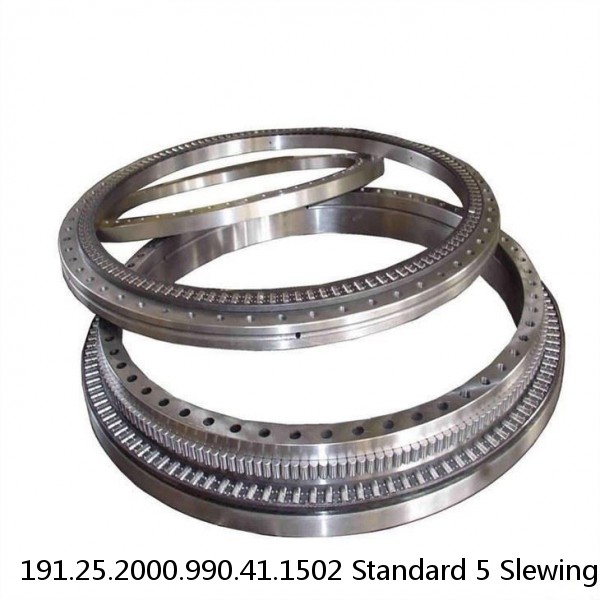 191.25.2000.990.41.1502 Standard 5 Slewing Ring Bearings