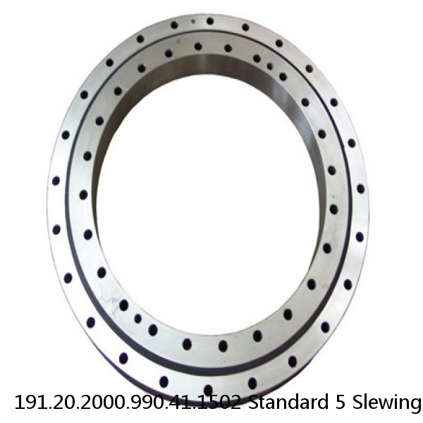 191.20.2000.990.41.1502 Standard 5 Slewing Ring Bearings