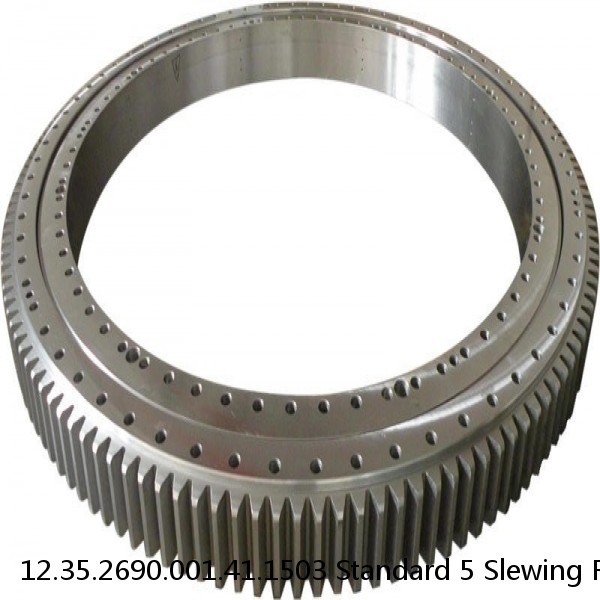 12.35.2690.001.41.1503 Standard 5 Slewing Ring Bearings