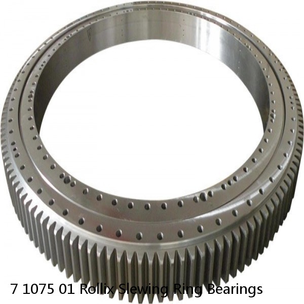 7 1075 01 Rollix Slewing Ring Bearings