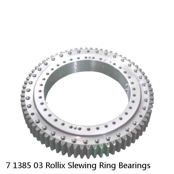 7 1385 03 Rollix Slewing Ring Bearings