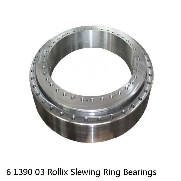 6 1390 03 Rollix Slewing Ring Bearings