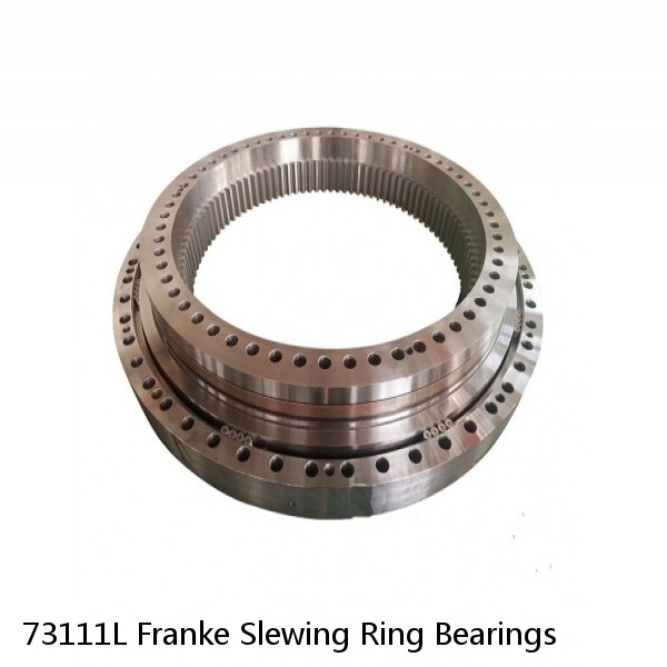 73111L Franke Slewing Ring Bearings