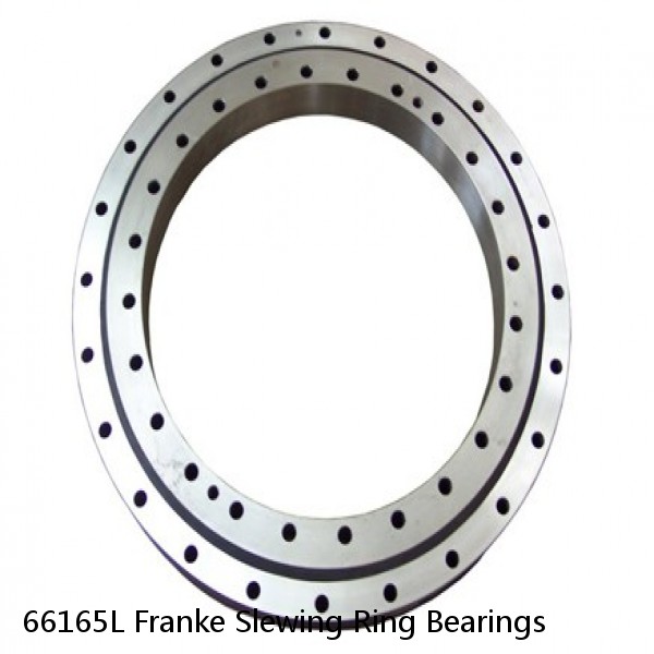 66165L Franke Slewing Ring Bearings