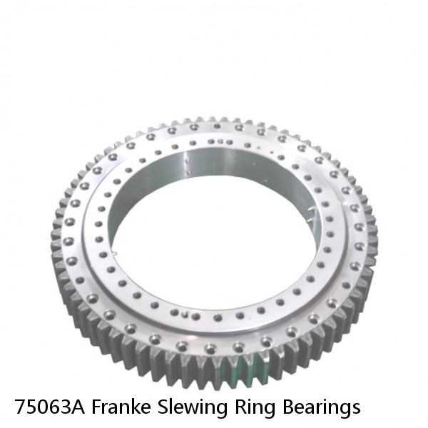 75063A Franke Slewing Ring Bearings