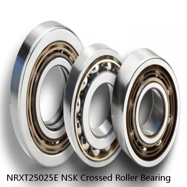 NRXT25025E NSK Crossed Roller Bearing