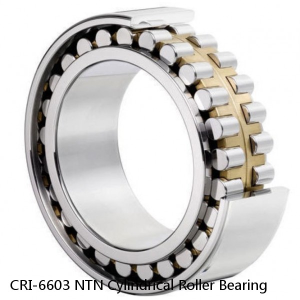 CRI-6603 NTN Cylindrical Roller Bearing