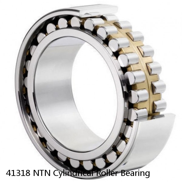 41318 NTN Cylindrical Roller Bearing