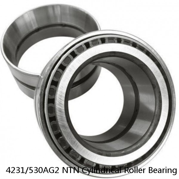 4231/530AG2 NTN Cylindrical Roller Bearing